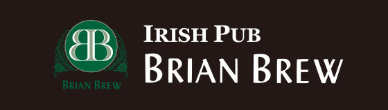 IRISH PUB BRIAN BREW